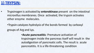1) TRYPSIN:
• Trypsinogen is activated by enterokinase present on the intestinal
microvillus membranes. Once activated, the trypsin activates
other enzyme molecules.
•Trypsin catalyzes hydrolysis of the bonds formed by carboxyl
groups of Arg and Lys.
•Acute pancreatitis: Premature activation of
trypsinogen inside the pancreas itself will result in the
autodigestion of pancreatic cells. The result is acute
pancreatitis. It is a life-threatening condition
 