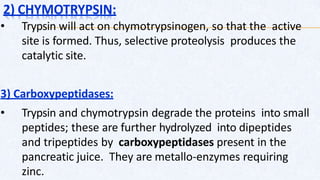 2) CHYMOTRYPSIN:
• Trypsin will act on chymotrypsinogen, so that the active
site is formed. Thus, selective proteolysis produces the
catalytic site.
3) Carboxypeptidases:
• Trypsin and chymotrypsin degrade the proteins into small
peptides; these are further hydrolyzed into dipeptides
and tripeptides by carboxypeptidases present in the
pancreatic juice. They are metallo-enzymes requiring
zinc.
 