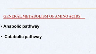 GENERAL METABOLISM OF AMINOACIDS:
• Anabolic pathway
• Catabolic pathway
13
 