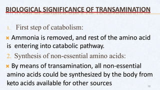 BIOLOGICAL SIGNIFICANCE OF TRANSAMINATION
1. First step of catabolism:
 Ammonia is removed, and rest of the amino acid
is entering into catabolic pathway.
2. Synthesis of non-essential amino acids:
 By means of transamination, all non-essential
amino acids could be synthesized by the body from
keto acids available for other sources 18
 