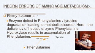 INBORN ERRORS OF AMINO ACID METABOLISM:-
 Phenylketonuria :-
Enzyme defect in Phenylalanine / tyrosine
degradation leading to metabolic disorder. Here, the
deficiency of hepatic enzyme Phenylalanine
Hydroxylase results in accumulation of
Phenylalanine.
 Phenylalanine
P
.HYDROXYLASE
Tyrosine
 