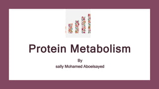 Protein Metabolism
By
sally Mohamed Aboelsayed
 