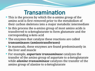 Transaminase Process PROTEIN METABOLISM.pptxiiiiiiiiiiiiiiiii | PPTX