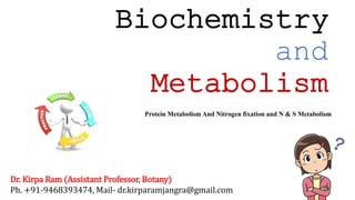 Biochemistry
and
Metabolism
Dr. Kirpa Ram (Assistant Professor, Botany)
Ph. +91-9468393474, Mail- dr.kirparamjangra@gmail.com
Protein Metabolism And Nitrogen fixation and N & S Metabolism
 