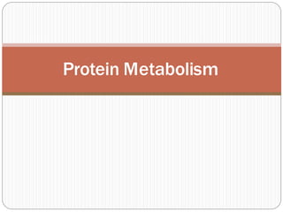 Protein Metabolism
 