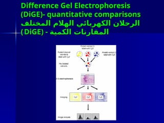 Protein MethodsThese experimental and computational methods allow ...