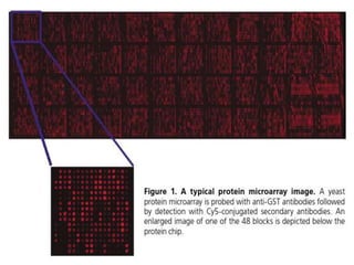 Protein microarray Preparation of protein microarray Different methods ...