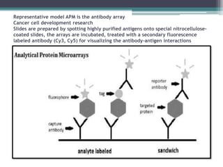 Representative model APM is the antibody array
Cancer cell development research
Slides are prepared by spotting highly purified antigens onto special nitrocellulose-
coated slides, the arrays are incubated, treated with a secondary fluorescence
labeled antibody (Cy3, Cy5) for visualizing the antibody-antigen interactions
 