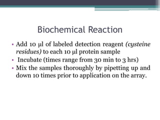 Biochemical Reaction
• Add 10 μl of labeled detection reagent (cysteine
residues) to each 10 μl protein sample
• Incubate (times range from 30 min to 3 hrs)
• Mix the samples thoroughly by pipetting up and
down 10 times prior to application on the array.
 