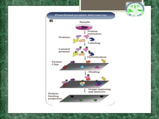 protein microarray.pptx