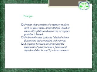 protein microarray.pptx