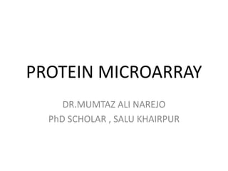 PROTEIN MICROARRAY
DR.MUMTAZ ALI NAREJO
PhD SCHOLAR , SALU KHAIRPUR
 