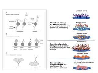 Protein microarray.pptx