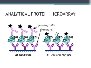 șecondary• .AB
Primary AB
Antigen capture
 
