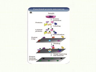 protein microarray-types and approaches.pptx
