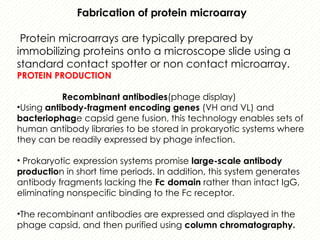 protein microarray matrix protein identification | PPTX