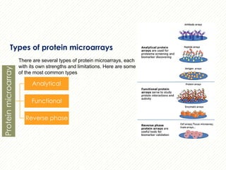 protein microarray matrix protein identification | PPTX