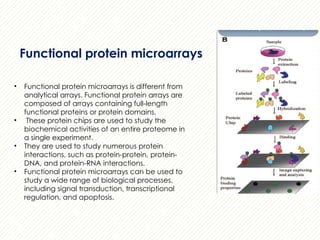 protein microarray matrix protein identification | PPTX