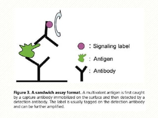 protein microarray matrix protein identification | PPTX