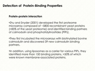 protein microarray matrix protein identification | PPTX