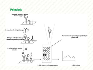 protein microarray matrix protein identification | PPTX