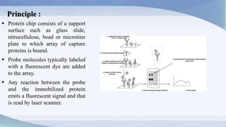 protein microarray_k.b institute (m.pharm pharmacology) .pptx