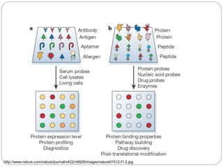 Protein Microarrays | PPTX