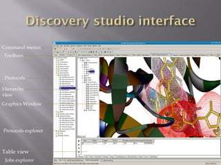 Protein modeling with discovery studio | PDF