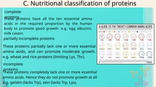 Partially Incomplete Protiens protein synthesis about life and humanss | PPTX