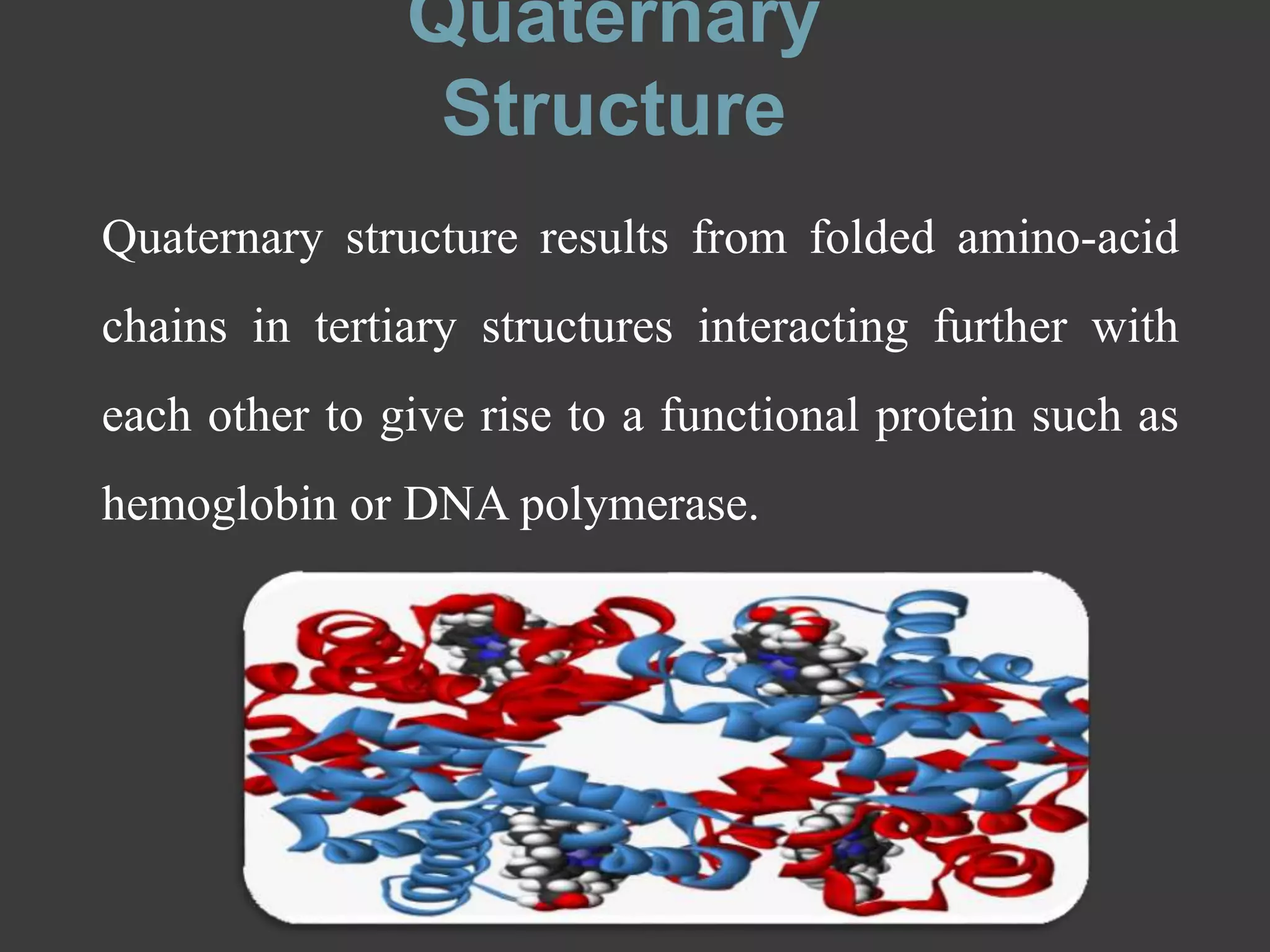 Quaternary
Structure
Quaternary structure results from folded amino-acid
chains in tertiary structures interacting further with
each other to give rise to a functional protein such as
hemoglobin or DNA polymerase.
 