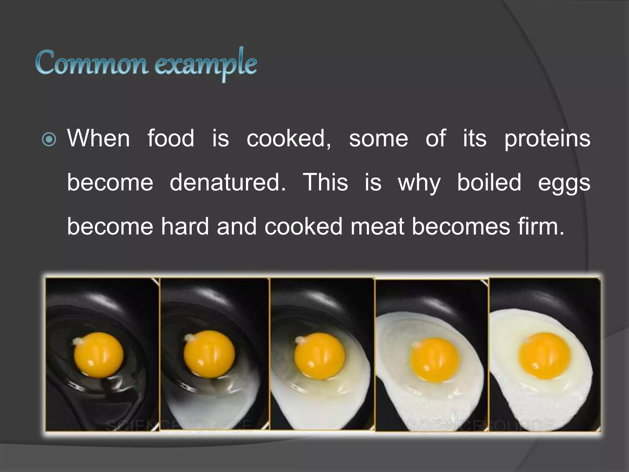  When food is cooked, some of its proteins
become denatured. This is why boiled eggs
become hard and cooked meat becomes firm.
 