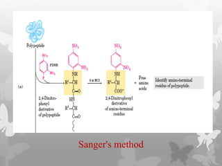Sanger's method
 