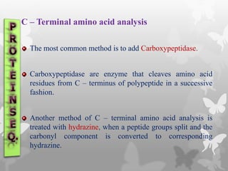 C – Terminal amino acid analysis
The most common method is to add Carboxypeptidase.
Carboxypeptidase are enzyme that cleaves amino acid
residues from C – terminus of polypeptide in a successive
fashion.
Another method of C – terminal amino acid analysis is
treated with hydrazine, when a peptide groups split and the
carbonyl component is converted to corresponding
hydrazine.
 