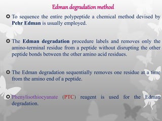 Edman degradation method
 To sequence the entire polypeptide a chemical method devised by
Pehr Edman is usually employed.
 The Edman degradation procedure labels and removes only the
amino-terminal residue from a peptide without disrupting the other
peptide bonds between the other amino acid residues.
 The Edman degradation sequentially removes one residue at a time
from the amino end of a peptide.
 Phenylisothiocyanate (PTC) reagent is used for the Edman
degradation.
 