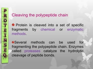 Cleaving the polypeptide chain
Protein is cleaved into a set of specific
fragments by chemical or enzymatic
methods.
Several methods can be used for
fragmenting the polypeptide chain. Enzymes
called proteases catalyze the hydrolytic
cleavage of peptide bonds.
 