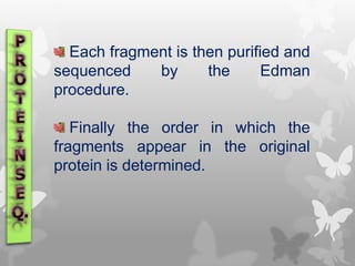 Each fragment is then purified and
sequenced by the Edman
procedure.
Finally the order in which the
fragments appear in the original
protein is determined.
 