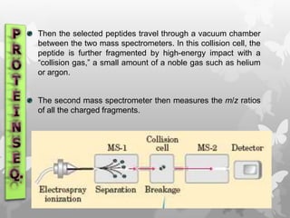 Then the selected peptides travel through a vacuum chamber
between the two mass spectrometers. In this collision cell, the
peptide is further fragmented by high-energy impact with a
“collision gas,” a small amount of a noble gas such as helium
or argon.
The second mass spectrometer then measures the m/z ratios
of all the charged fragments.
 
