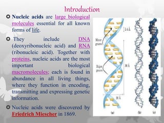 Introduction
 Nucleic acids are large biological
molecules essential for all known
forms of life.
 They include DNA
(deoxyribonucleic acid) and RNA
(ribonucleic acid). Together with
proteins, nucleic acids are the most
important biological
macromolecules; each is found in
abundance in all living things,
where they function in encoding,
transmitting and expressing genetic
information.
 Nucleic acids were discovered by
Friedrich Miescher in 1869.
 