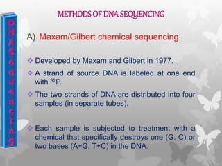 METHODS OF DNA SEQUENCING
A) Maxam/Gilbert chemical sequencing
 Developed by Maxam and Gilbert in 1977.
 A strand of source DNA is labeled at one end
with 32P.
 The two strands of DNA are distributed into four
samples (in separate tubes).
 Each sample is subjected to treatment with a
chemical that specifically destroys one (G, C) or
two bases (A+G, T+C) in the DNA.
 