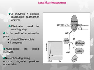 3 enzymes + apyrase
(nucleotide degradation
enzyme)
Eliminates need for
washing step
In the well of a microtiter
plate:
• primed DNA template
• 4 enzymes
Nucleotides are added
stepwise.
Nucleotide-degrading
enzyme degrade previous
nucleotides.
Liquid Phase Pyrosequencing
 
