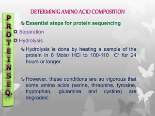 DETERMINIG AMINO ACID COMPOSITION
Essential steps for protein sequencing
 Separation
 Hydrolysis
Hydrolysis is done by heating a sample of the
protein in 6 Molar HCl to 100-110 C° for 24
hours or longer.
However, these conditions are so vigorous that
some amino acids (serine, threonine, tyrosine,
tryptophan, glutamine and cystine) are
degraded.
 
