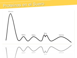 Proteínas en el Suero