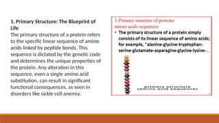 1. Primary Structure: The Blueprint of
Life
The primary structure of a protein refers
to the specific linear sequence of amino
acids linked by peptide bonds. This
sequence is dictated by the genetic code
and determines the unique properties of
the protein. Any alteration in this
sequence, even a single amino acid
substitution, can result in significant
functional consequences, as seen in
disorders like sickle cell anemia.
 