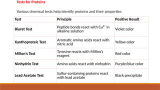 Tests for Proteins
Various chemical tests help identify proteins and their properties
:
Test Principle Positive Result
Biuret Test Peptide bonds react with Cu²⁺ in
alkaline solution Violet color
Xanthoproteic Test
Aromatic amino acids react with
nitric acid Yellow color
Millon’s Test
Tyrosine reacts with Millon’s
reagent Red color
Ninhydrin Test Amino acids react with ninhydrin Purple/blue color
Lead Acetate Test Sulfur-containing proteins react
with lead acetate
Black precipitate
 