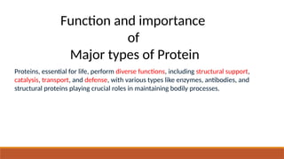 Function and importance
of
Major types of Protein
Proteins, essential for life, perform diverse functions, including structural support,
catalysis, transport, and defense, with various types like enzymes, antibodies, and
structural proteins playing crucial roles in maintaining bodily processes.
 