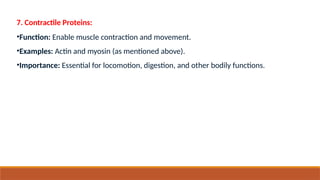 7. Contractile Proteins:
•Function: Enable muscle contraction and movement.
•Examples: Actin and myosin (as mentioned above).
•Importance: Essential for locomotion, digestion, and other bodily functions.
 
