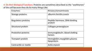 4. On their Biological Functions: Proteins are sometimes described as the "workhorses"
of the cell because they do So many things Like:
Enzymes: Kinases,transaminases
Storage proteins albumin,ferritin,casein
Regulatory proteins Peptide hormone, DNA binding
protein
Structural protein Collagen,proteoglycan
Protective proteins Immunoglobulin, blood clotting
factors
Transport protein Hemoglobin,myoglobin,plasma
lipoprotein
Contractile or motile Actin,myosin
 