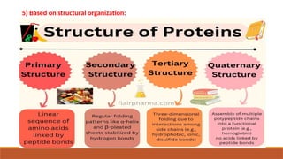 5) Based on structural organization:
 