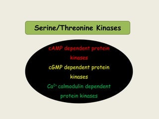 Serine/Threonine Kinases
cAMP dependent protein
kinases
cGMP dependent protein
kinases
Ca2+ calmodulin dependent
protein kinases
 