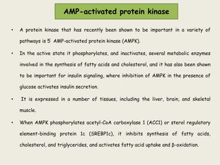 AMP-activated protein kinase
• A protein kinase that has recently been shown to be important in a variety of
pathways is 5’ AMP-activated protein kinase (AMPK).
• In the active state it phosphorylates, and inactivates, several metabolic enzymes
involved in the synthesis of fatty acids and cholesterol, and it has also been shown
to be important for insulin signaling, where inhibition of AMPK in the presence of
glucose activates insulin secretion.
• It is expressed in a number of tissues, including the liver, brain, and skeletal
muscle.
• When AMPK phosphorylates acetyl-CoA carboxylase 1 (ACC1) or sterol regulatory
element-binding protein 1c (SREBP1c), it inhibits synthesis of fatty acids,
cholesterol, and triglycerides, and activates fatty acid uptake and β-oxidation.
 